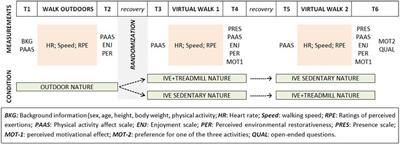Experiencing Nature through Immersive Virtual Environments: Environmental Perceptions, Physical Engagement, and Affective Responses during a Simulated Nature Walk